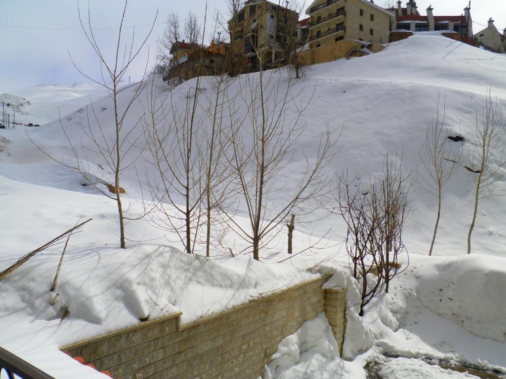 Stone Chalets Fārayyā Стая снимка